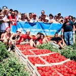 i-pomodori-corleonesi-con-i-volontari